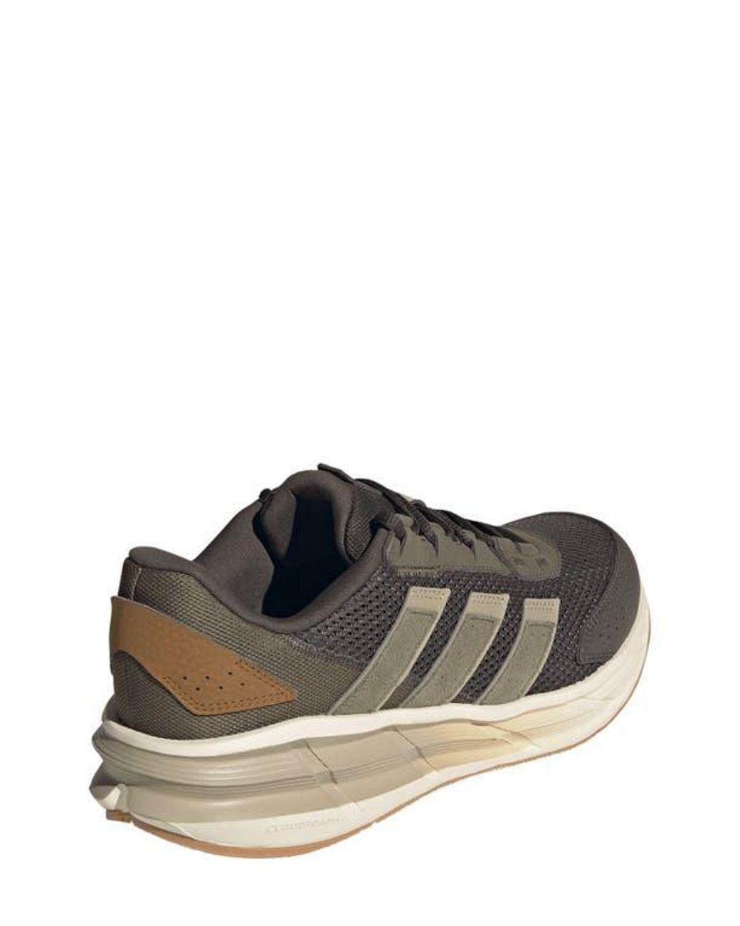 Adidas Brown Astrastar Sneaker for men