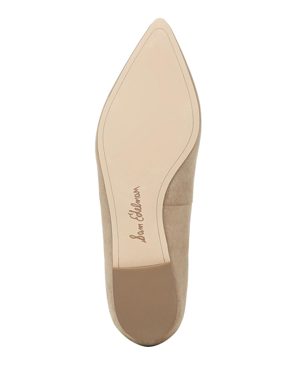 sam edelman rae pointed toe flat