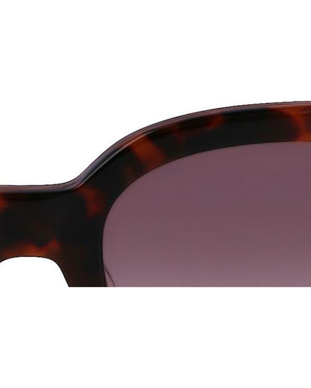 Longchamp Brown 52Mm Gradient Tea Cup Sunglasses