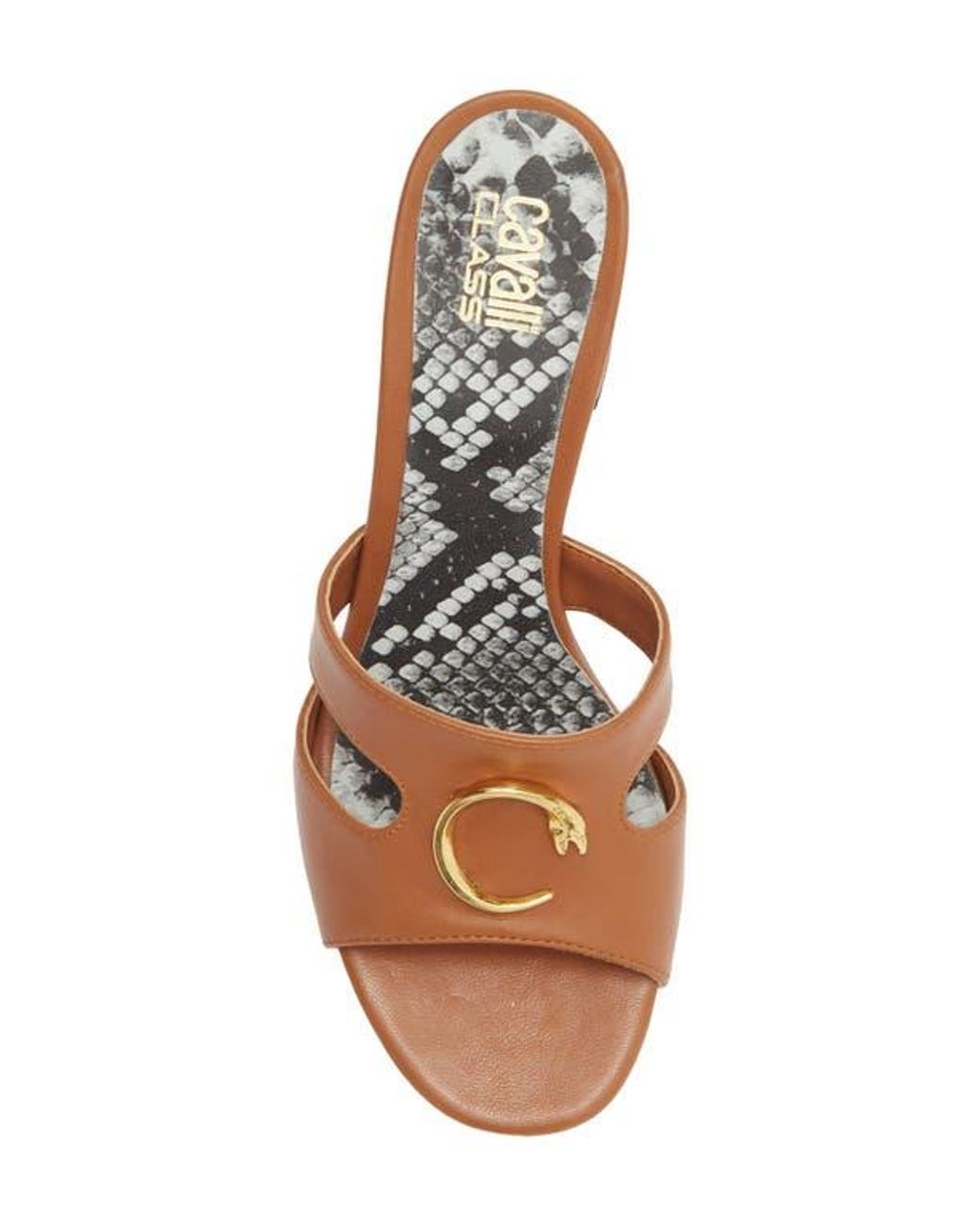 Roberto Cavalli Brown Block Heel Slide Sandal
