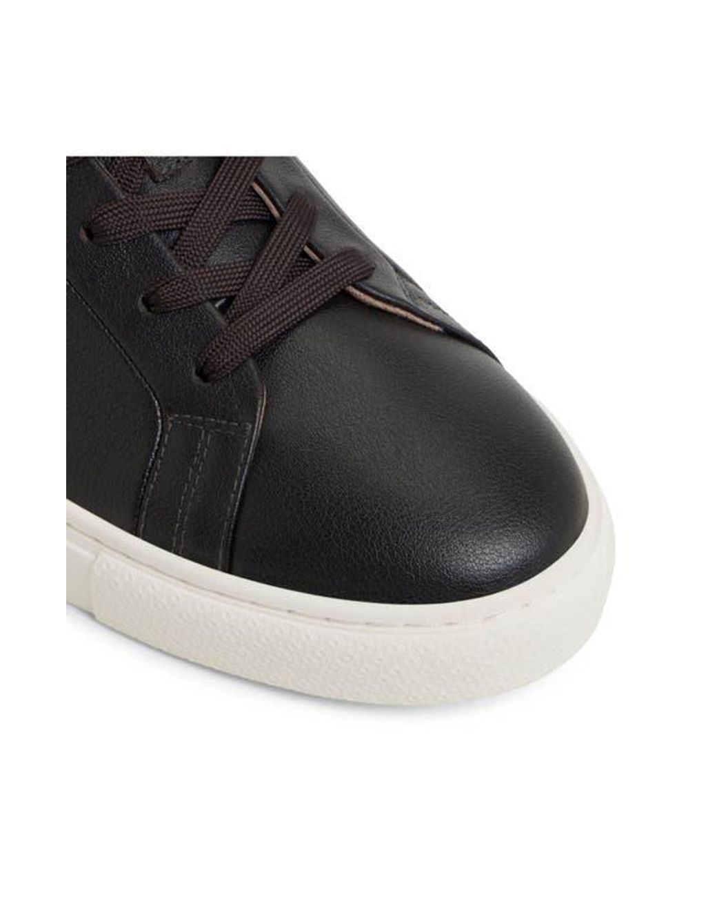 Ted Baker Black Robbert Sneaker for men