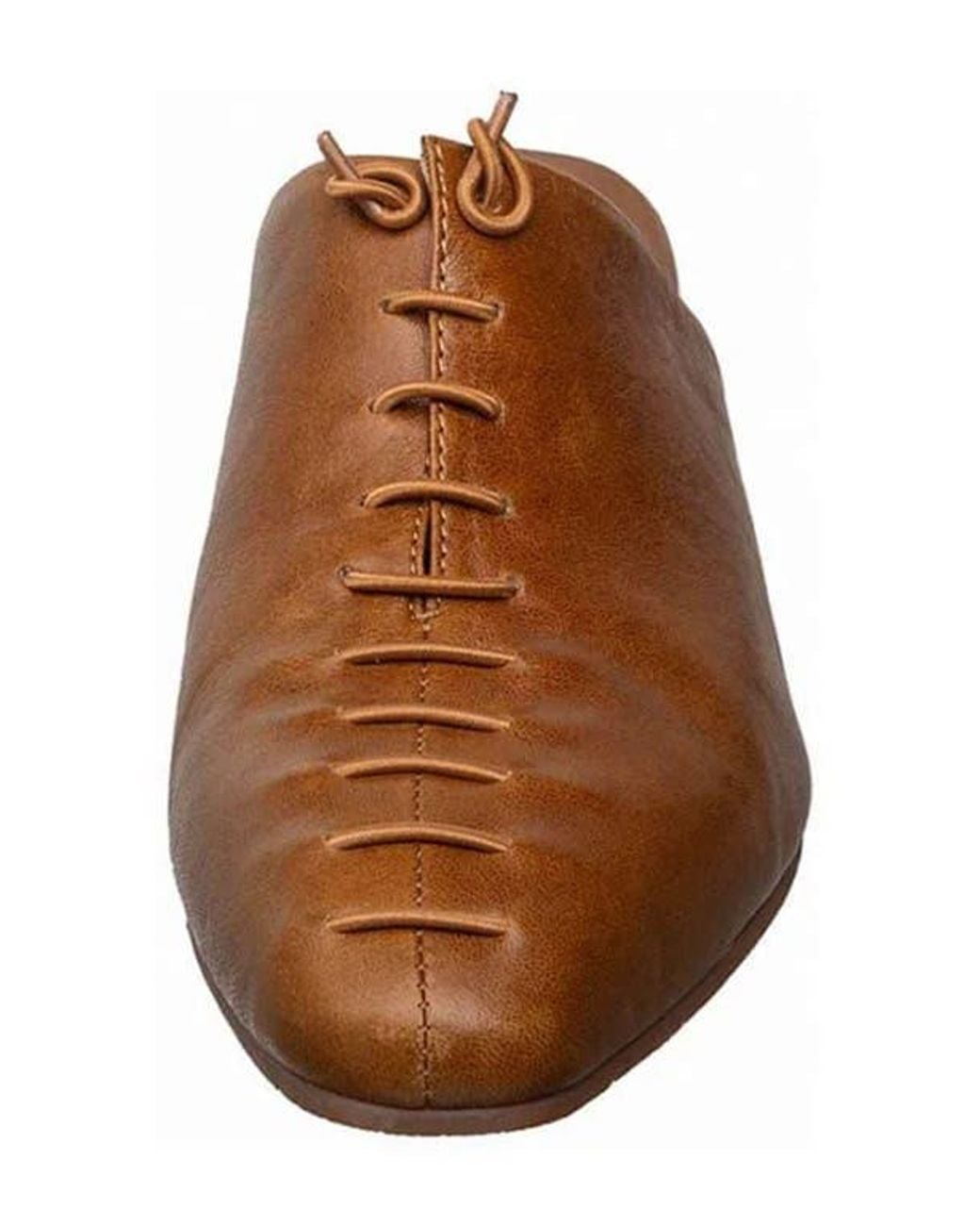 Antelope Brown Natalie Mule