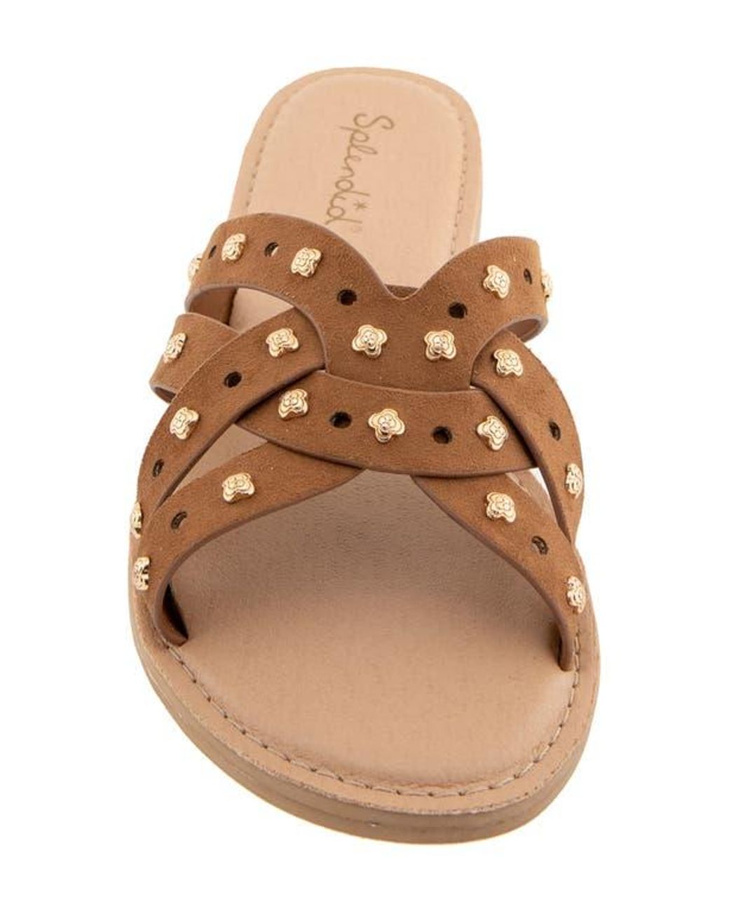 Splendid Brown Simon Studded Slide Sandal