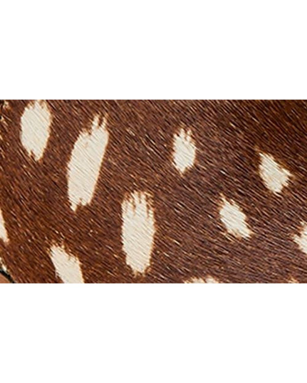 Ariat Brown Dixon X Toe Western Boot