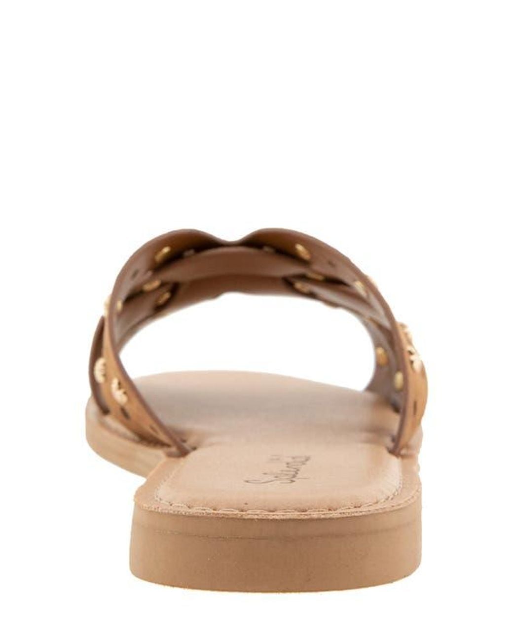 Splendid Brown Simon Studded Slide Sandal