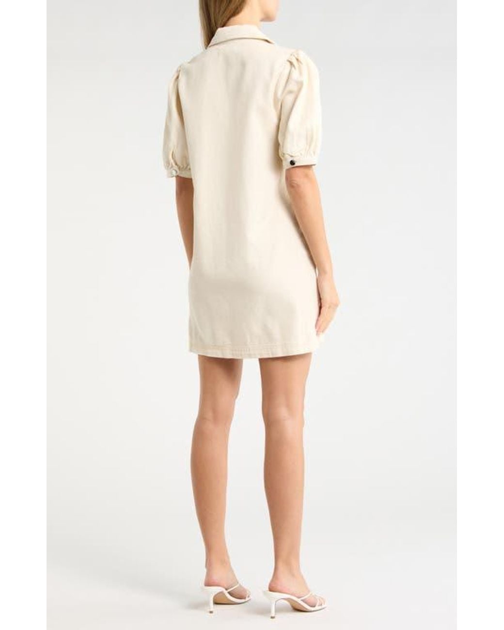Habitual Natural Collared Dress