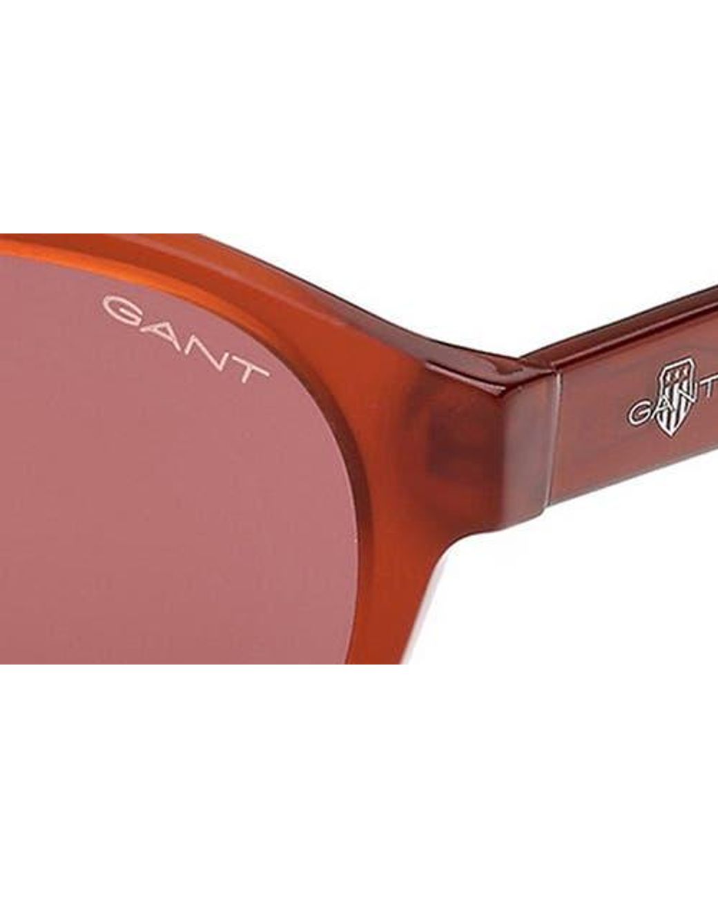 Gant Brown Round Sunglasses for men