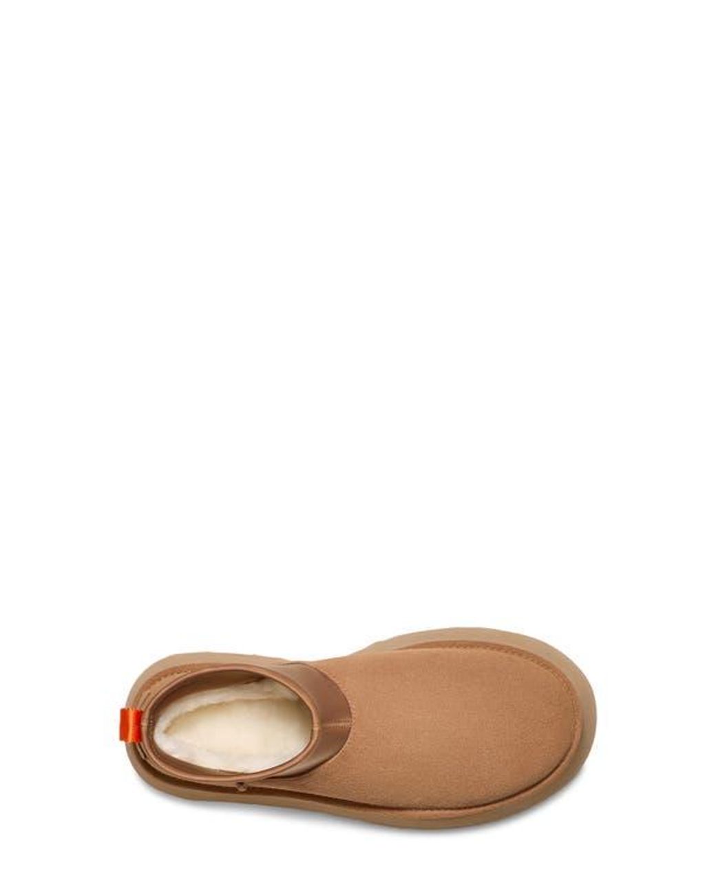 Ugg Brown Classic Mini Dipper Platform Boot