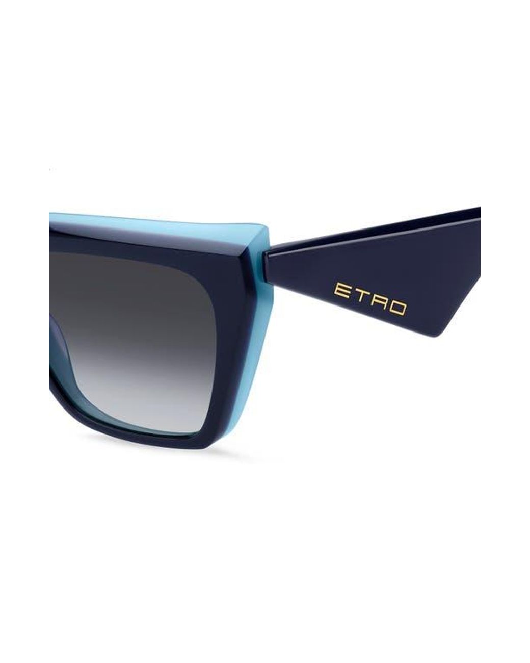 Etro Blue 55Mm Cat Eye Sunglasses