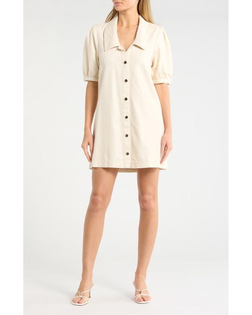 Habitual Natural Collared Dress