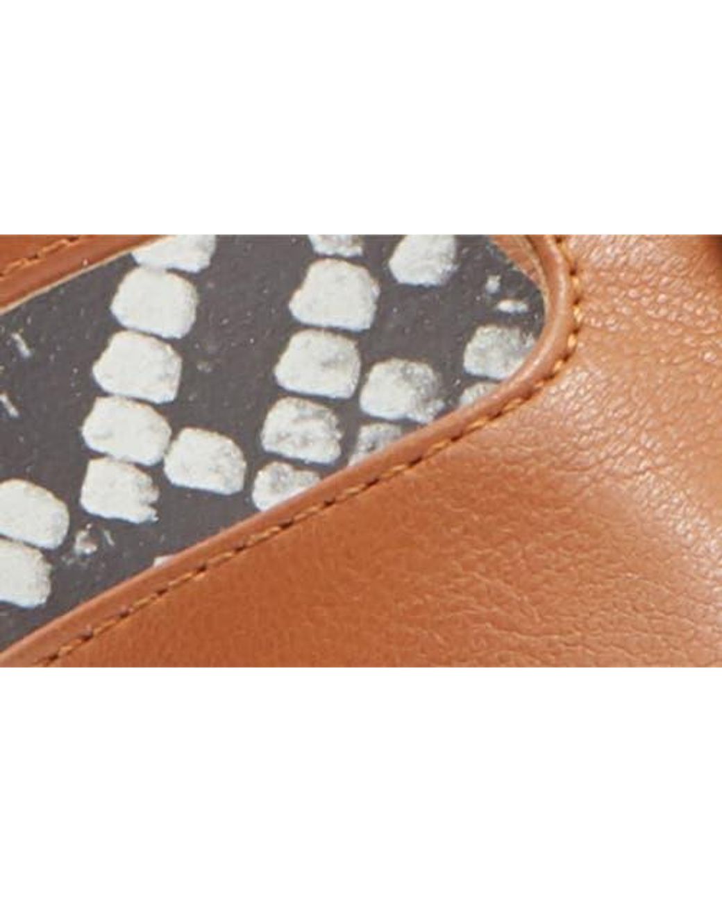 Roberto Cavalli Brown Block Heel Slide Sandal