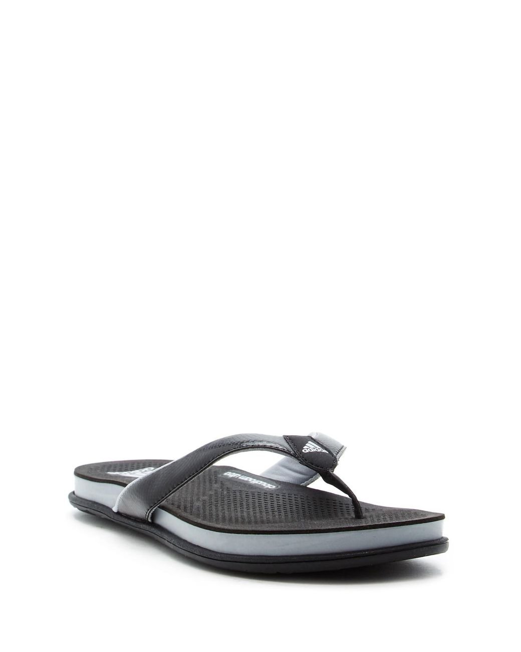 adidas Synthetic Cloudfoam Thong Flip Flop for Men | Lyst