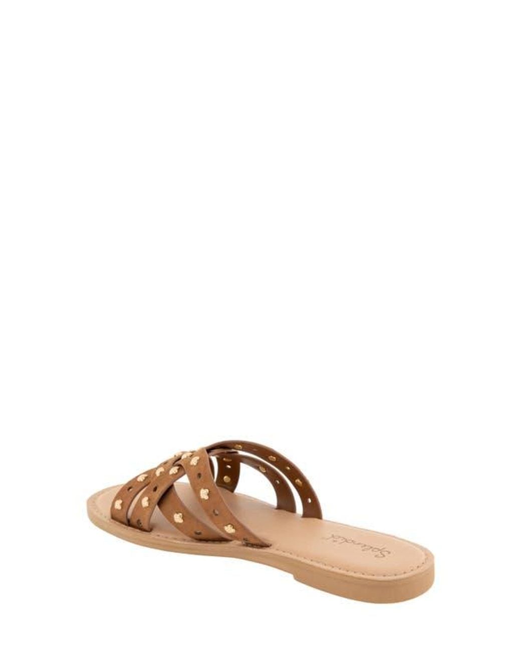 Splendid Brown Simon Studded Slide Sandal