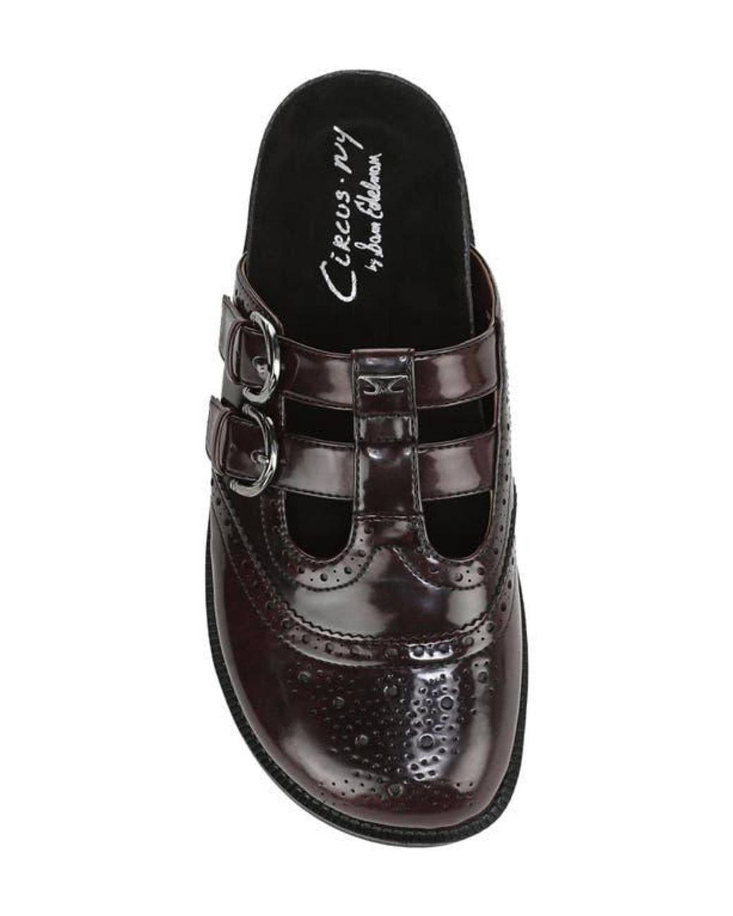 Circus by Sam Edelman Brown Claudia Mule