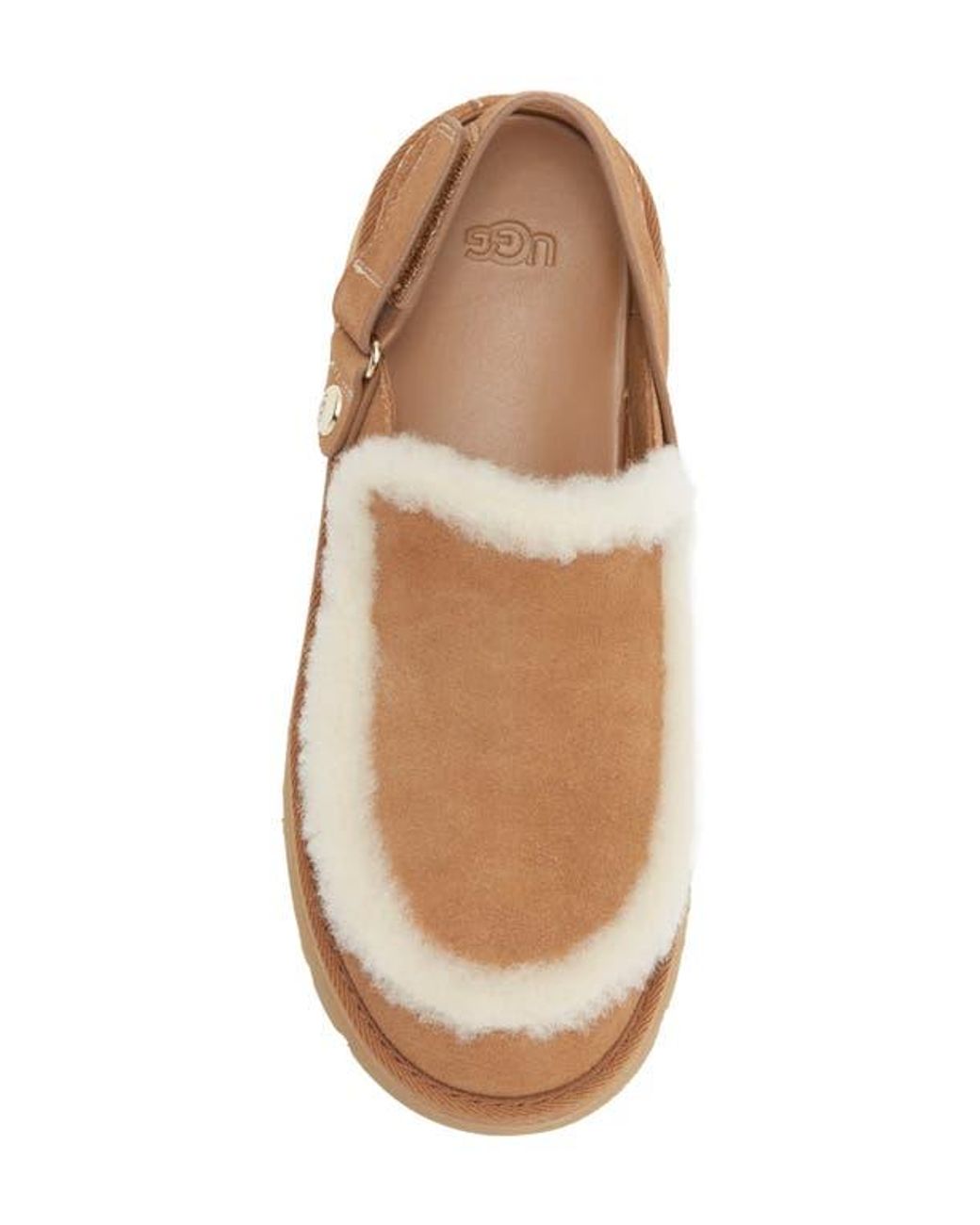 Ugg Brown Esmee Clogs