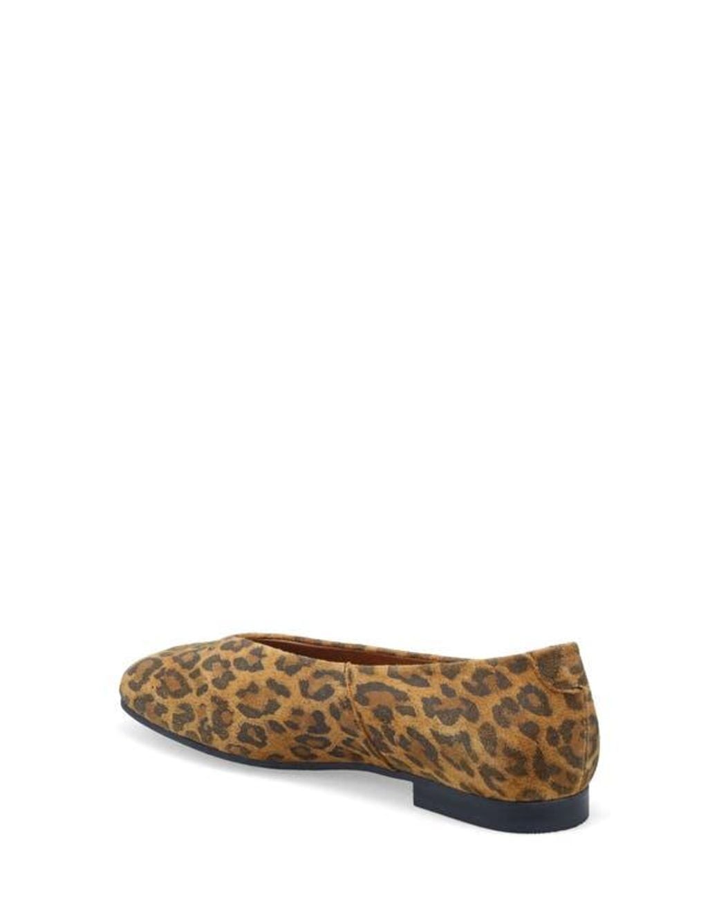 Miz Mooz Brown Zaire Flat