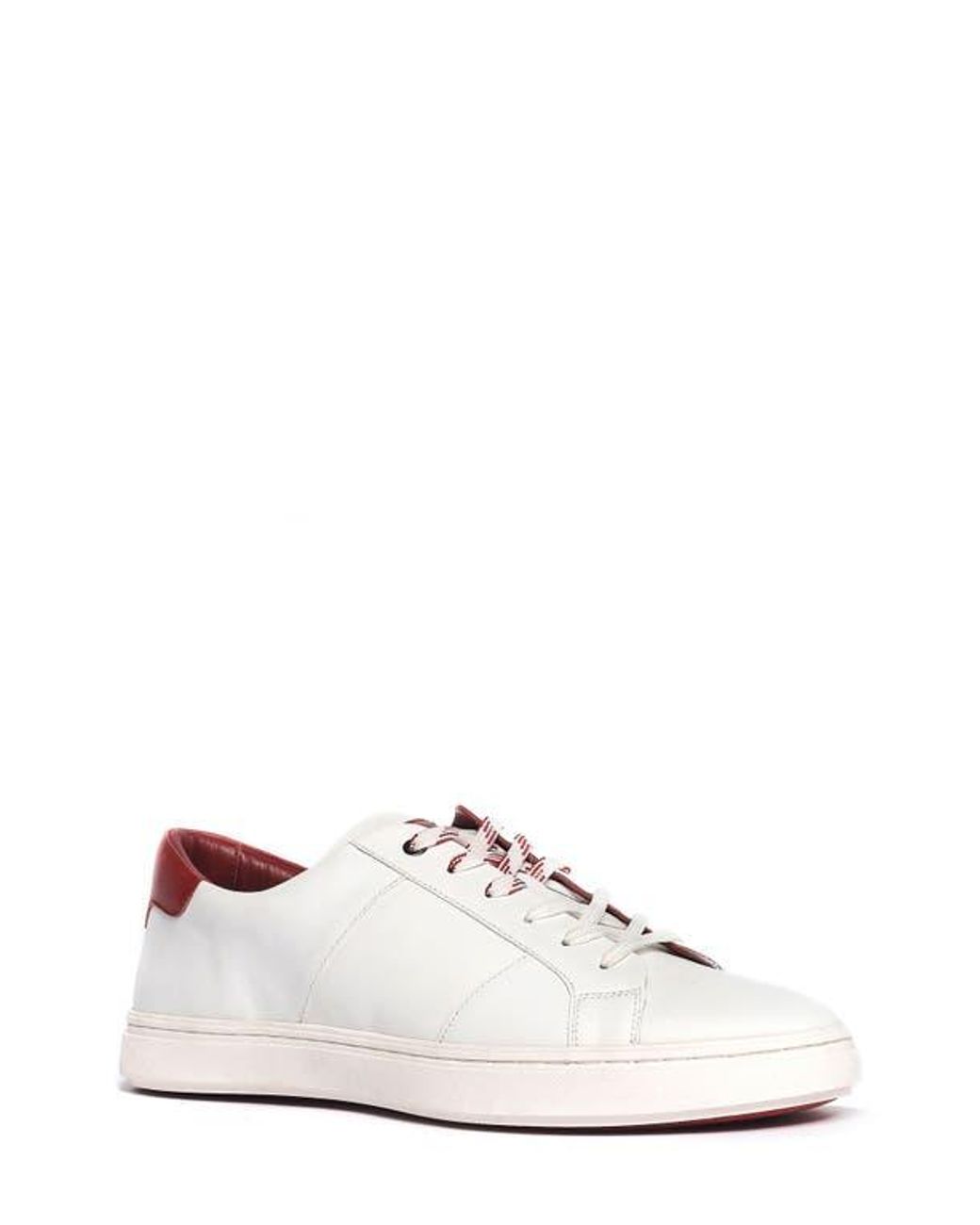 Anthony Veer White Kips Low Top Leather Sneakers for men