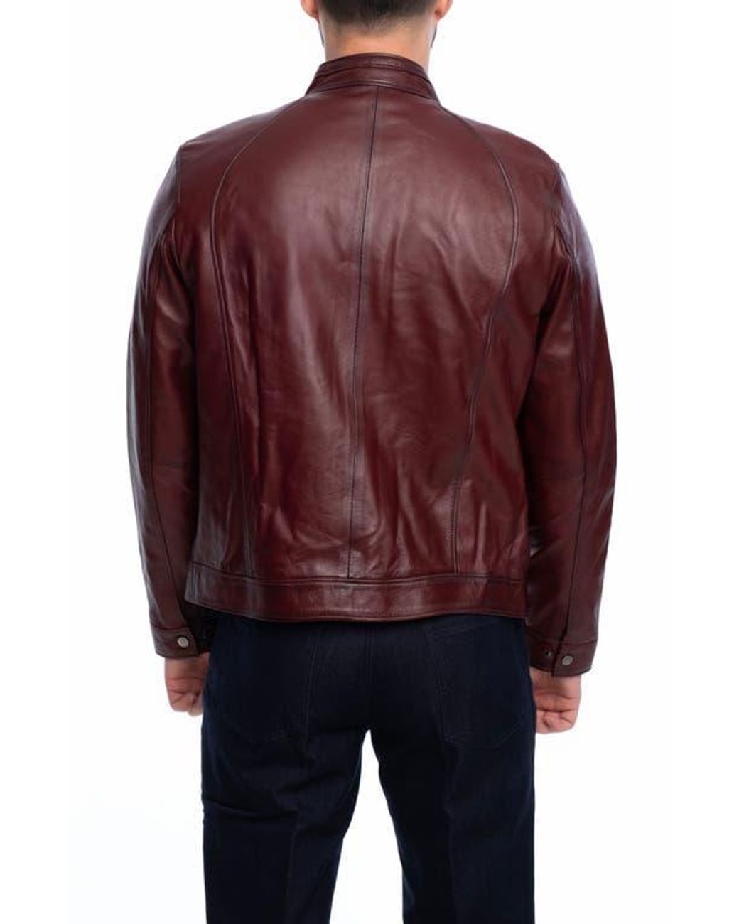 VELLAPAIS Purple Smooth Leather Jacket for men