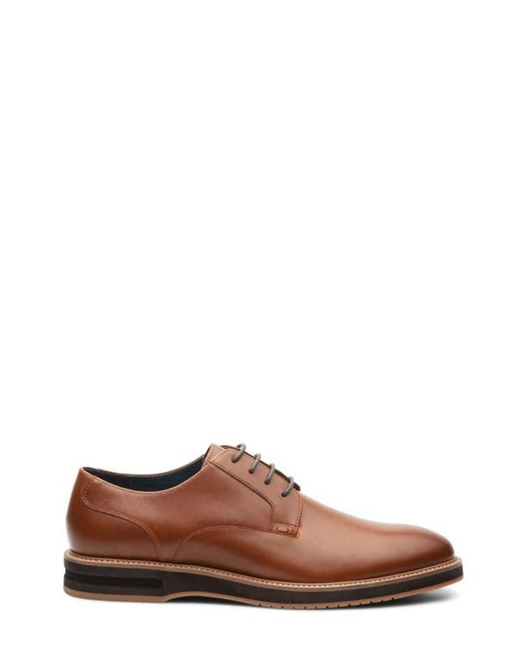 Blake McKay Brown Dalton Derby for men