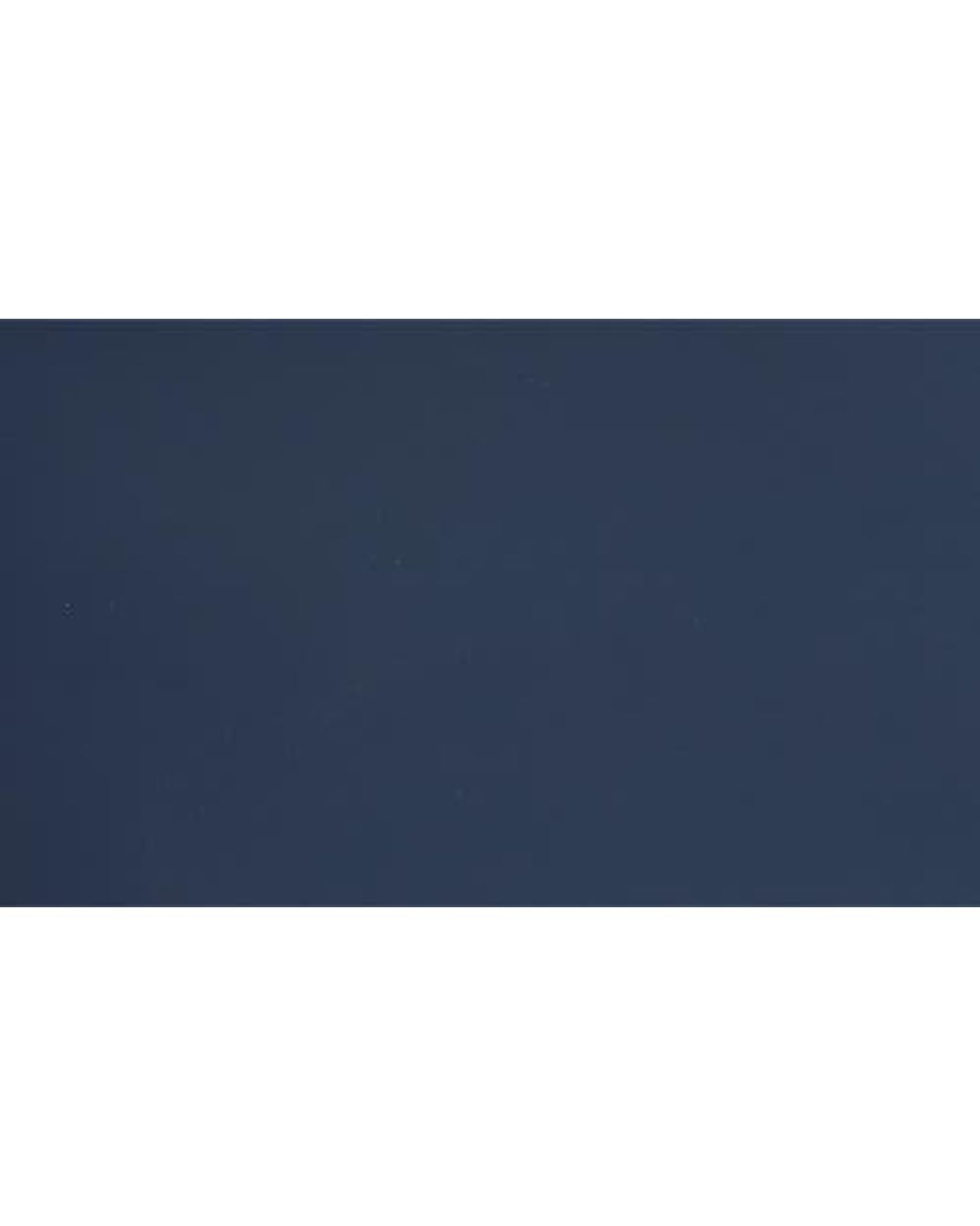 Bonobos Blue Rubberized Backpack for men