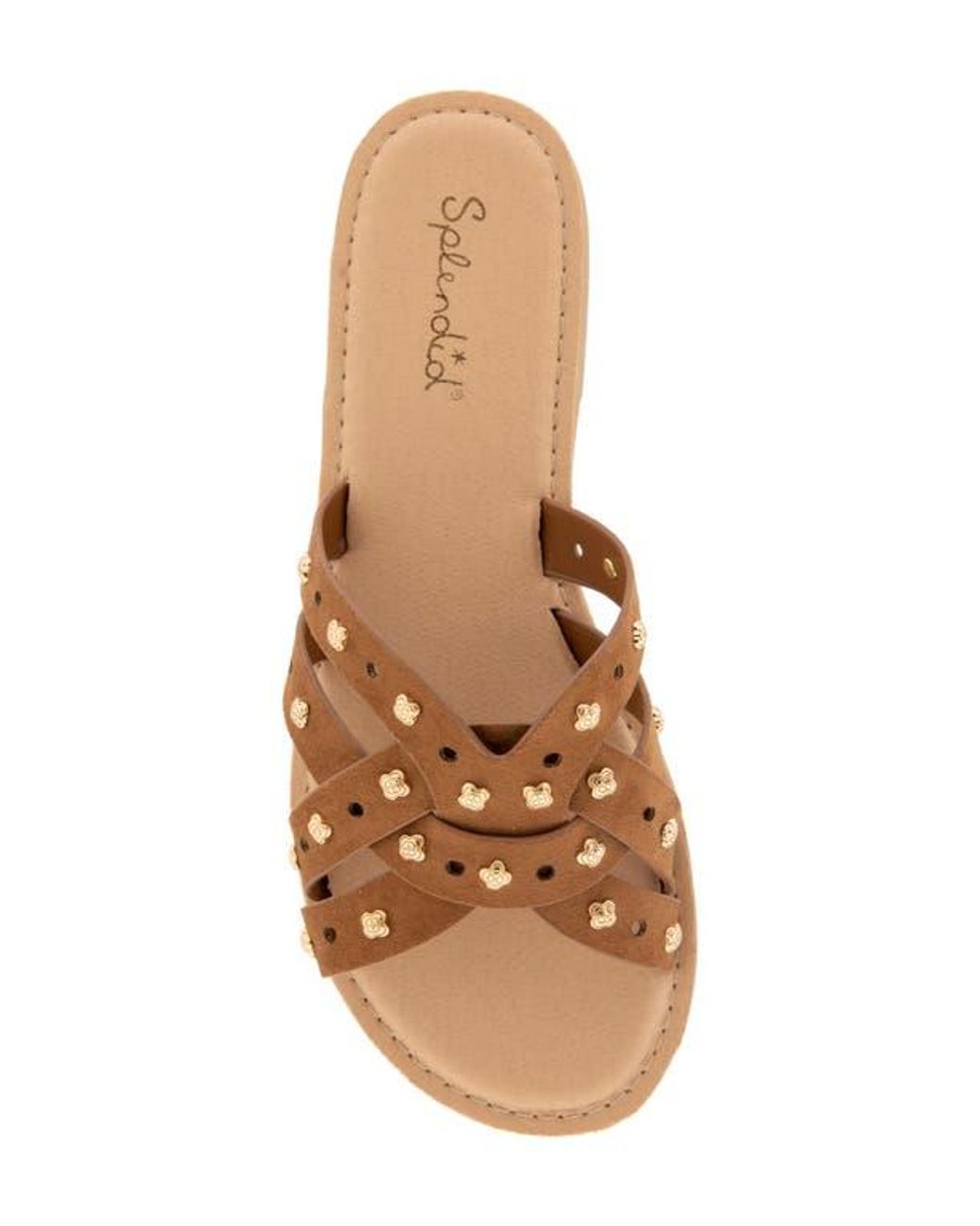 Splendid Brown Simon Studded Slide Sandal