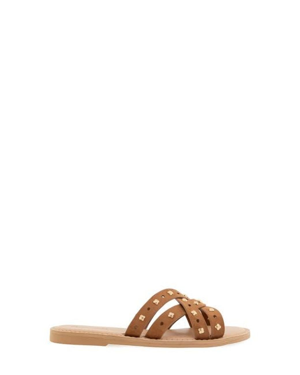 Splendid Brown Simon Studded Slide Sandal