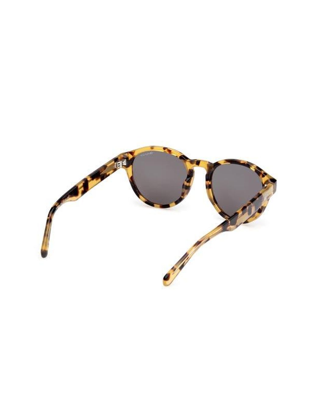 Gant Brown Round Sunglasses for men