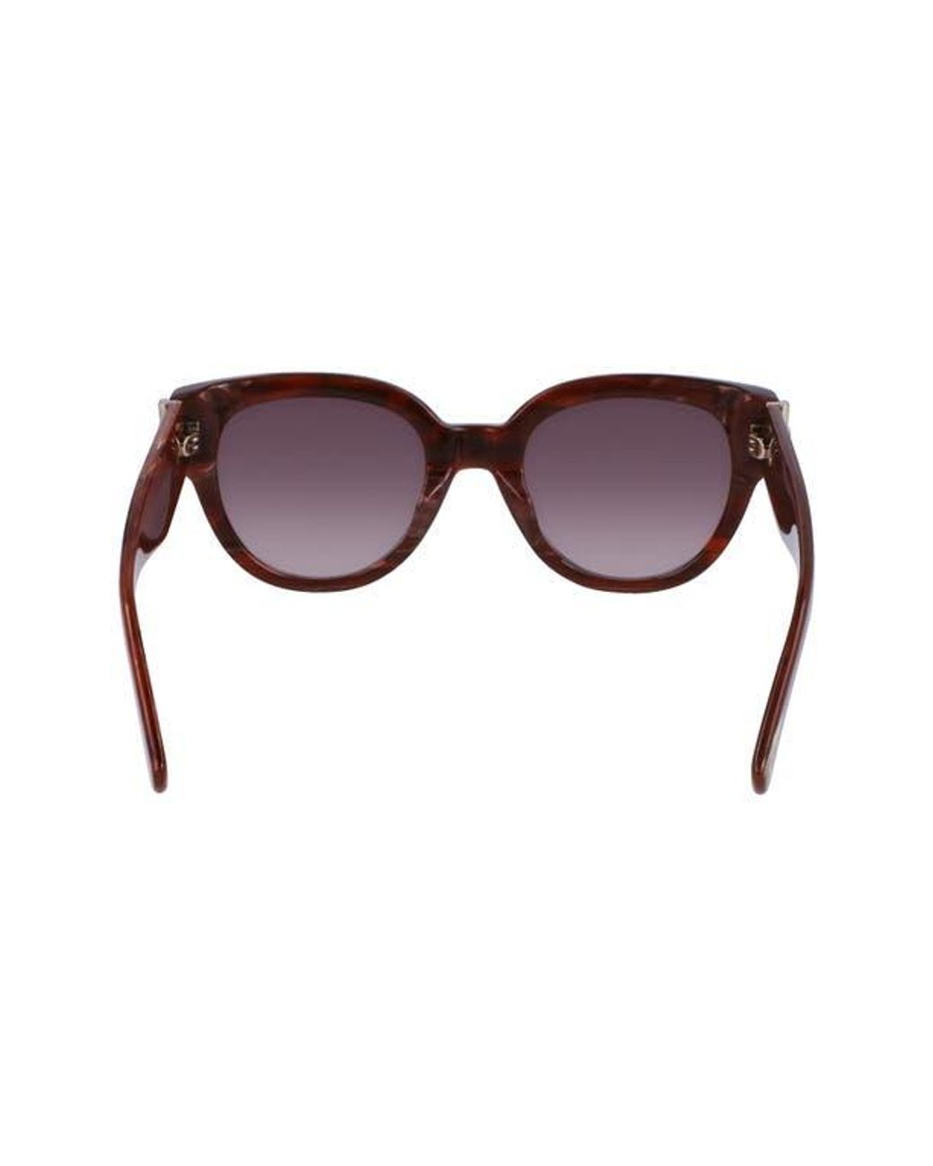 Longchamp Brown 52Mm Gradient Tea Cup Sunglasses