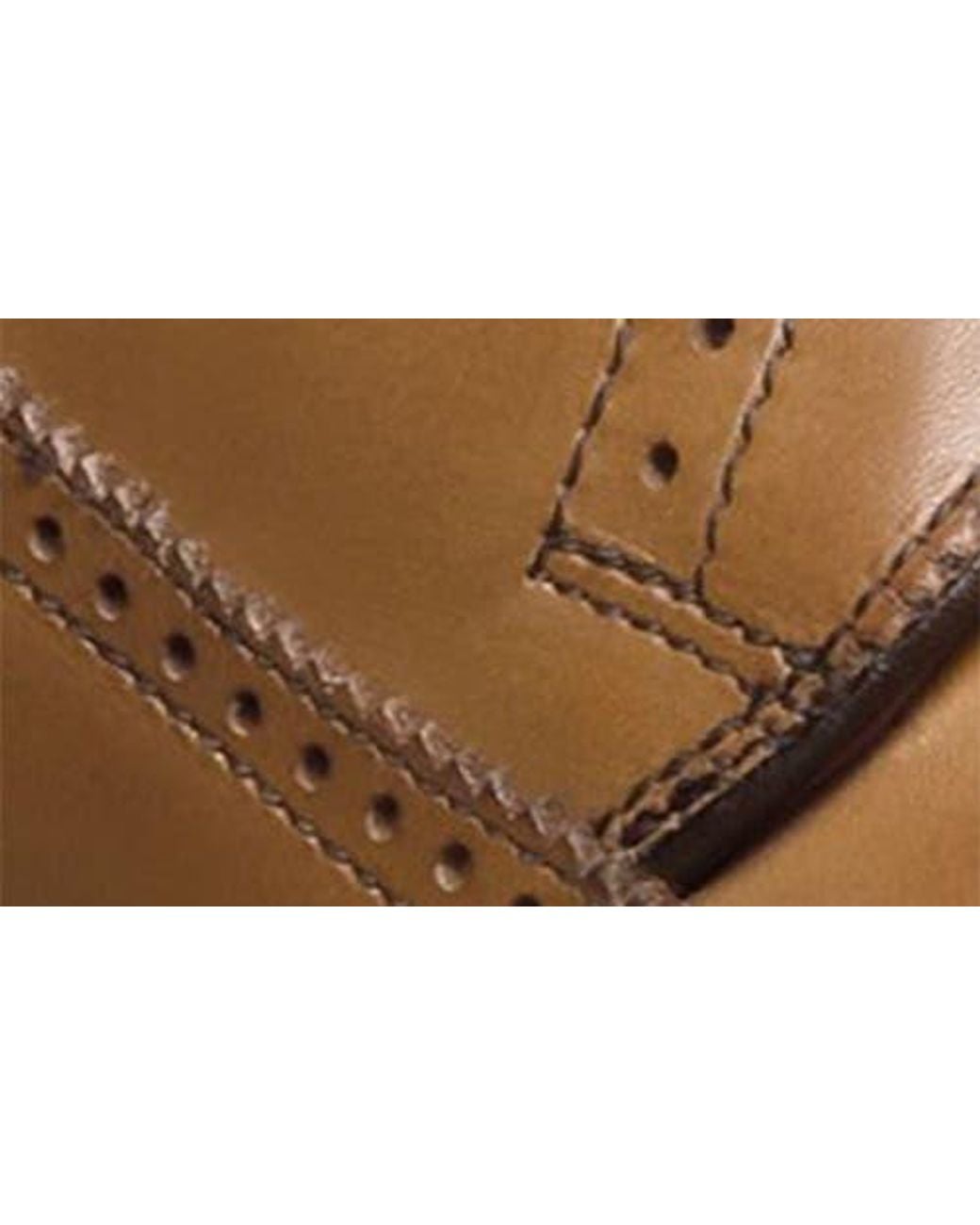 Allen Edmonds Brown Winston Wingtip Derby for men