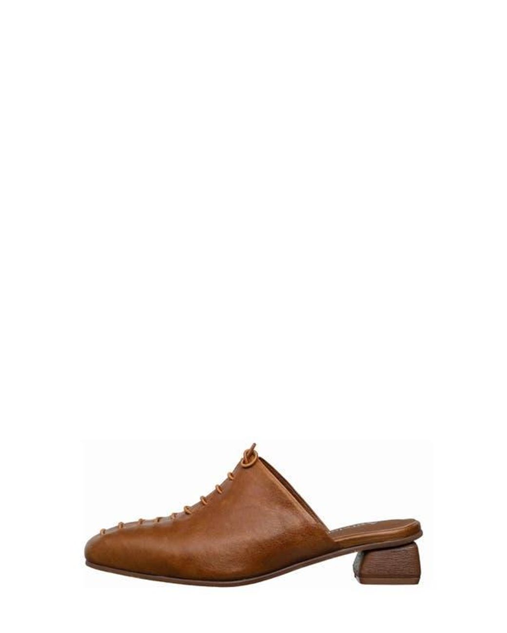Antelope Brown Natalie Mule