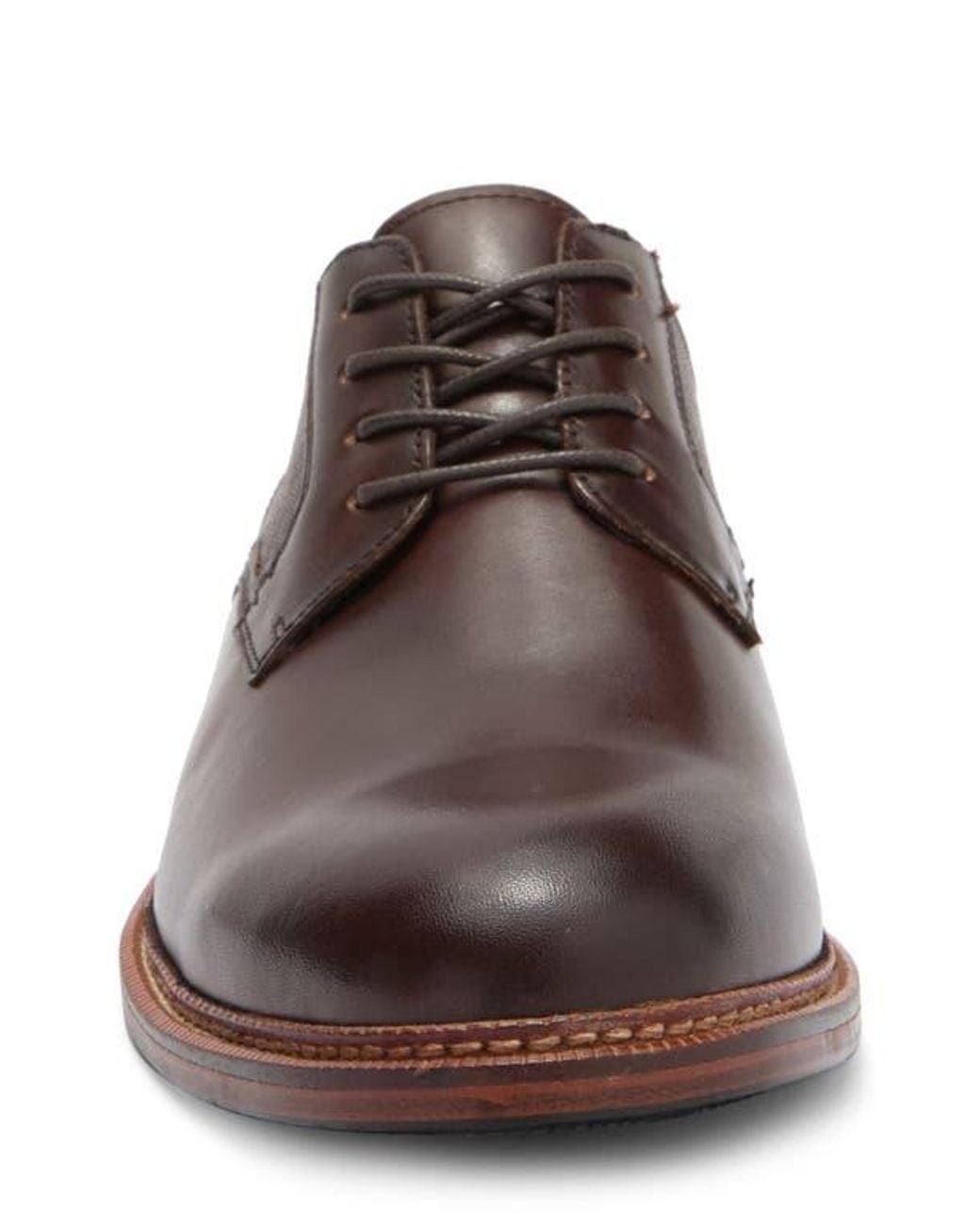 Steve Madden Brown Espen Plain Toe Derby for men