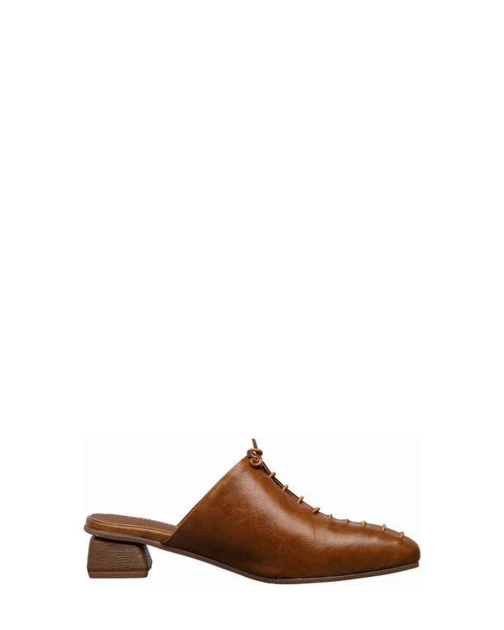Antelope Brown Natalie Mule