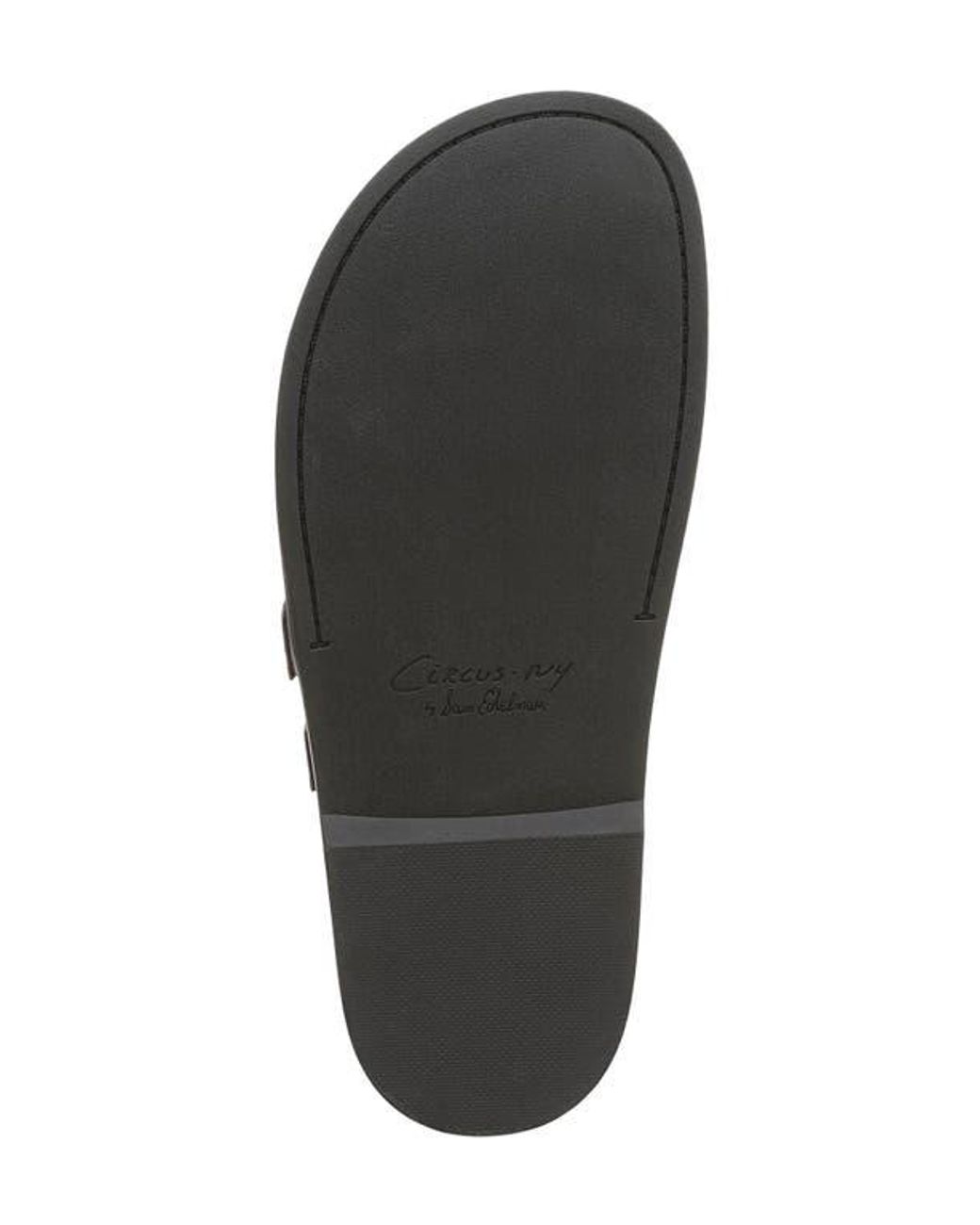 Circus by Sam Edelman Brown Claudia Mule