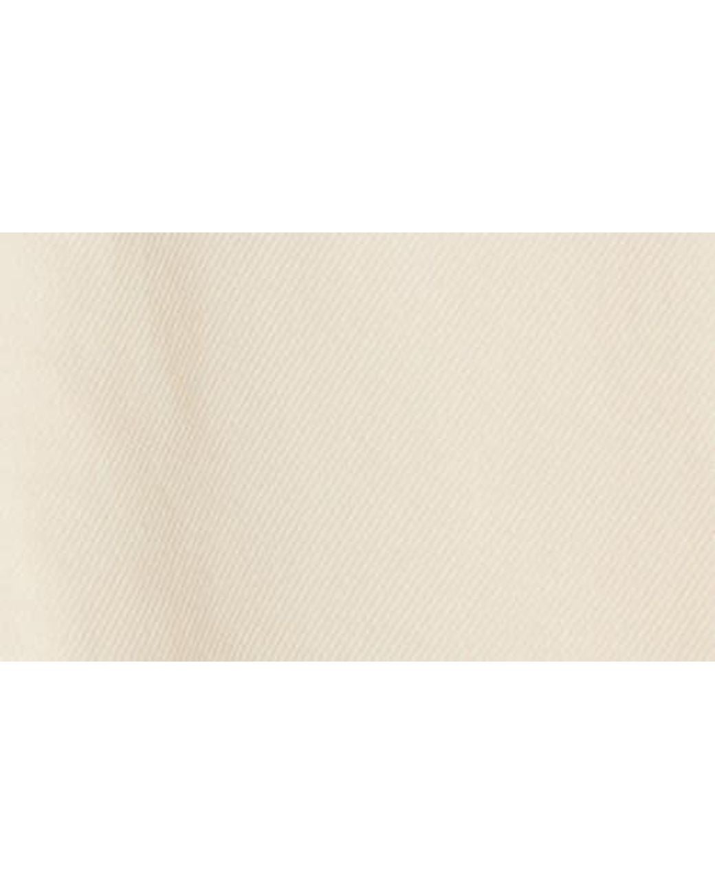 Habitual Natural Collared Dress