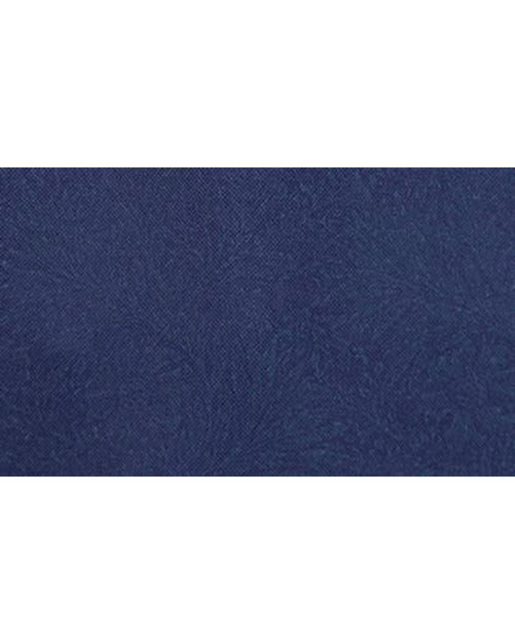 Tailorbyrd Blue Knit Polo for men