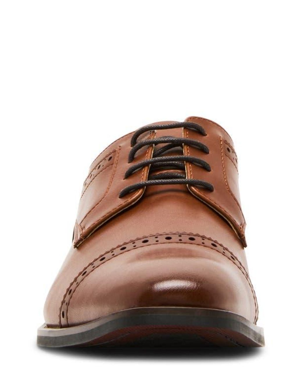 Steve Madden Brown Puntic Cap Toe Derby for men