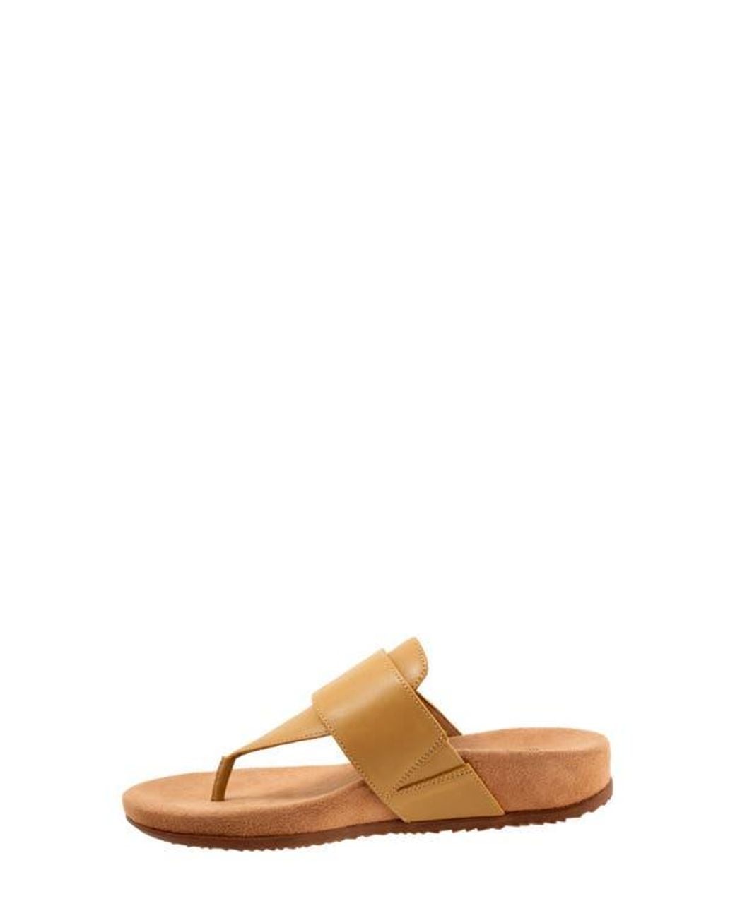Softwalk® Brown Belize T-Strap Sandal