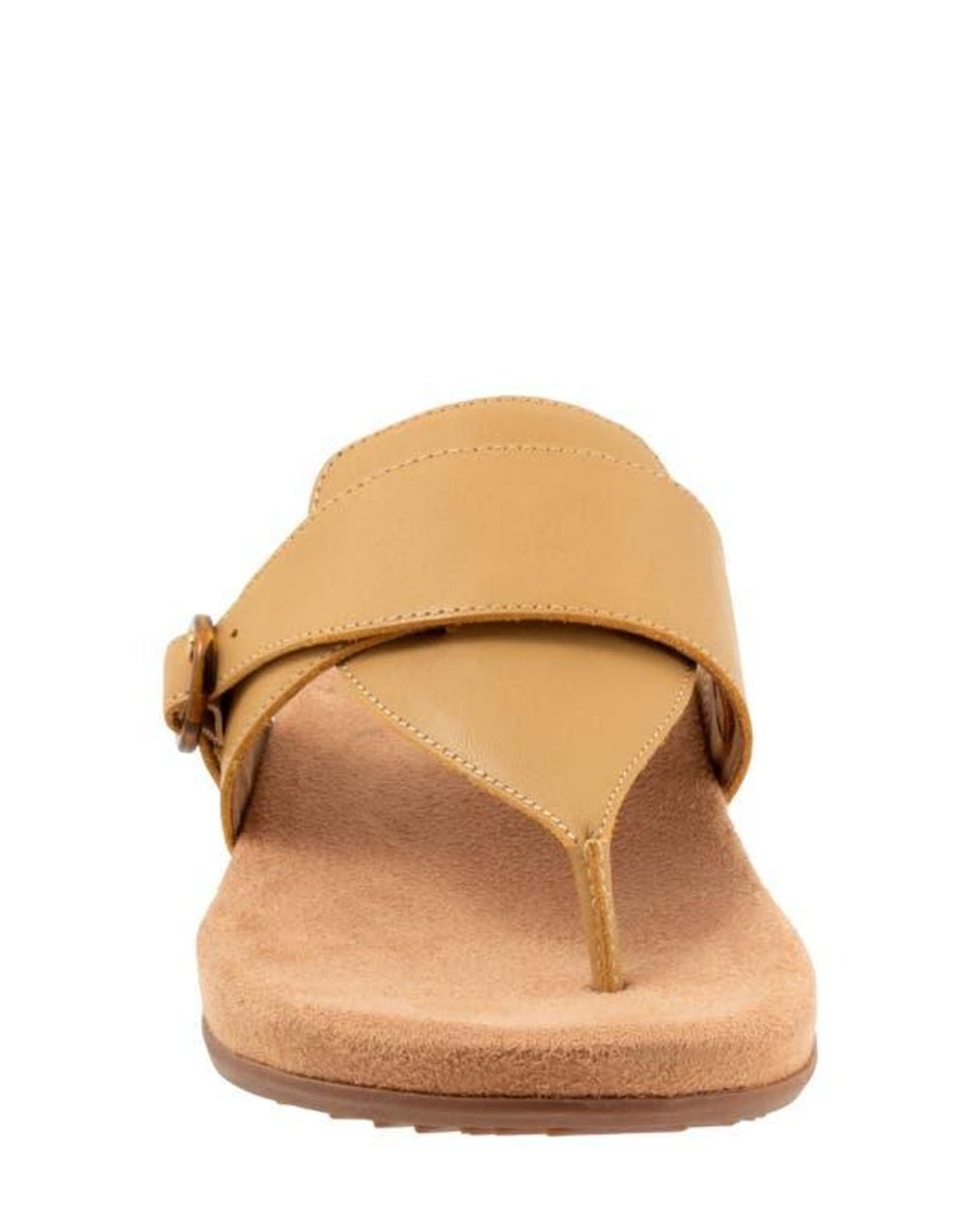 Softwalk® Brown Belize T-Strap Sandal