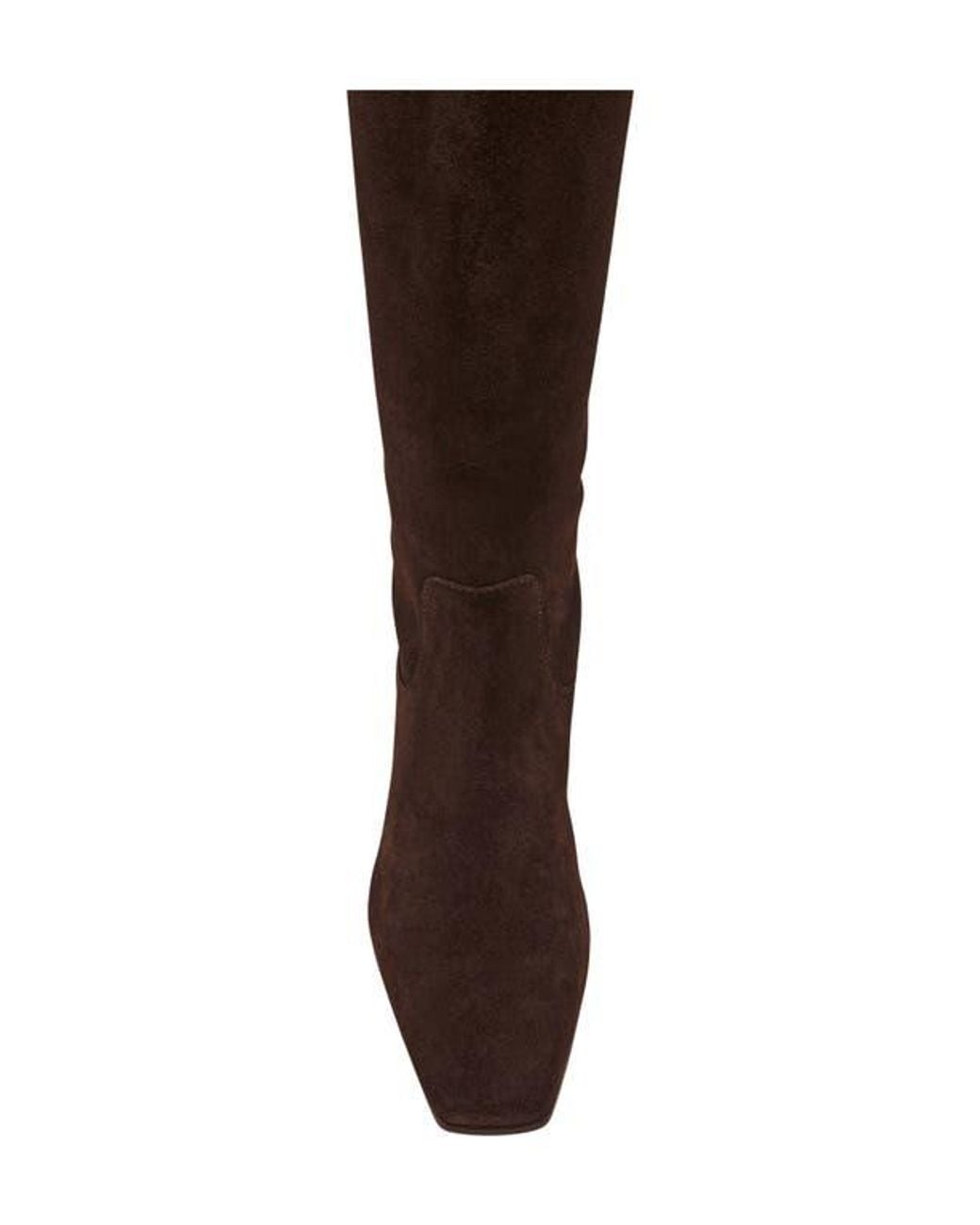 Steve Madden Brown Dantelle Knee High Boot