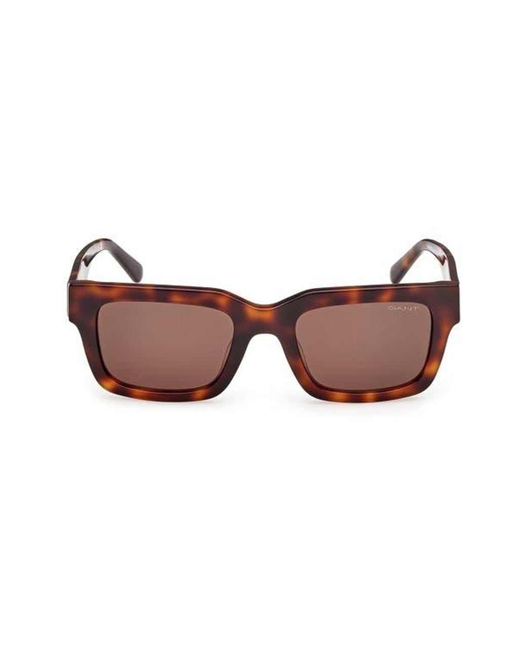 Gant Brown Rectangular Sunglasses for men