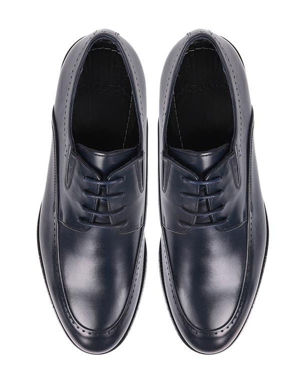 VELLAPAIS Blue Orla Derby for men