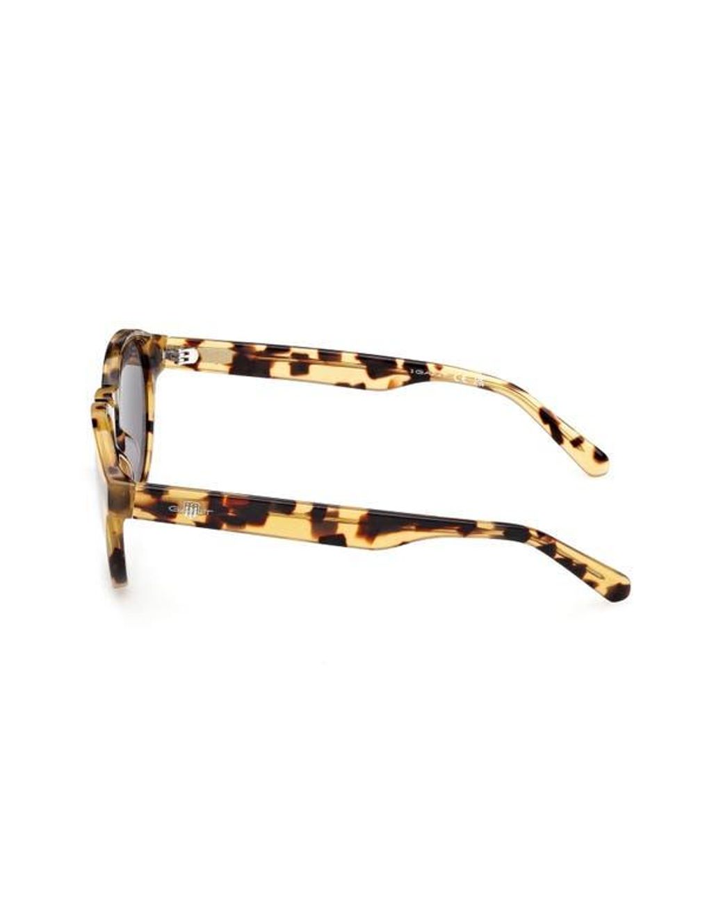 Gant Brown Round Sunglasses for men