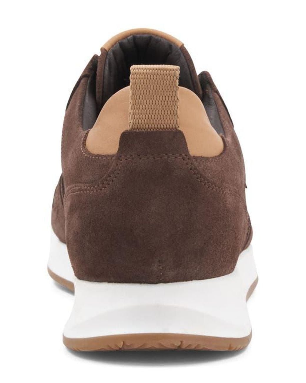 Bruno Magli Brown Capri Sneaker for men