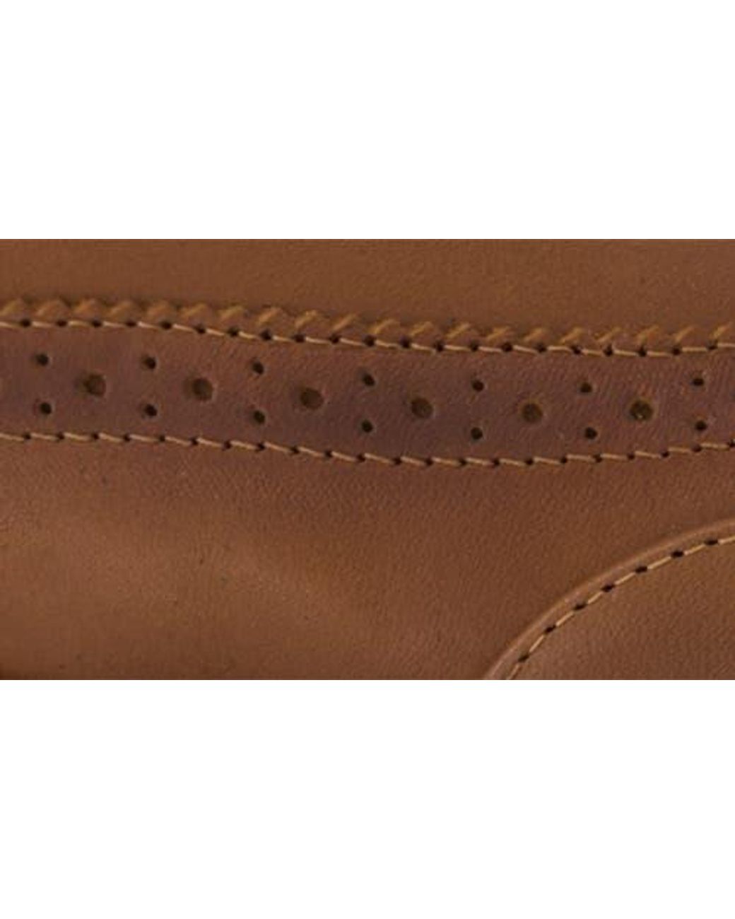 Karl Lagerfeld Brown Wingtip Derby for men