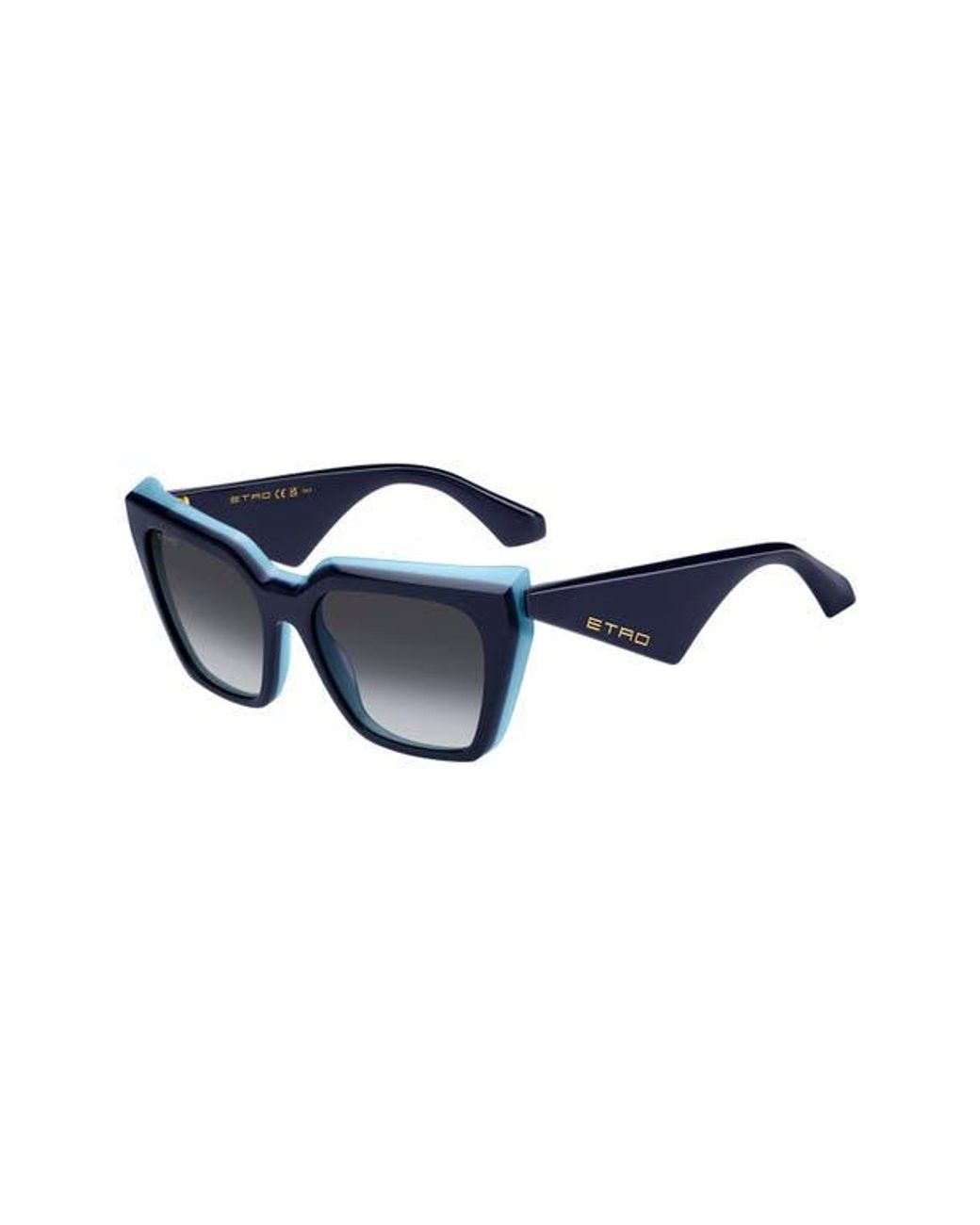 Etro Blue 55Mm Cat Eye Sunglasses