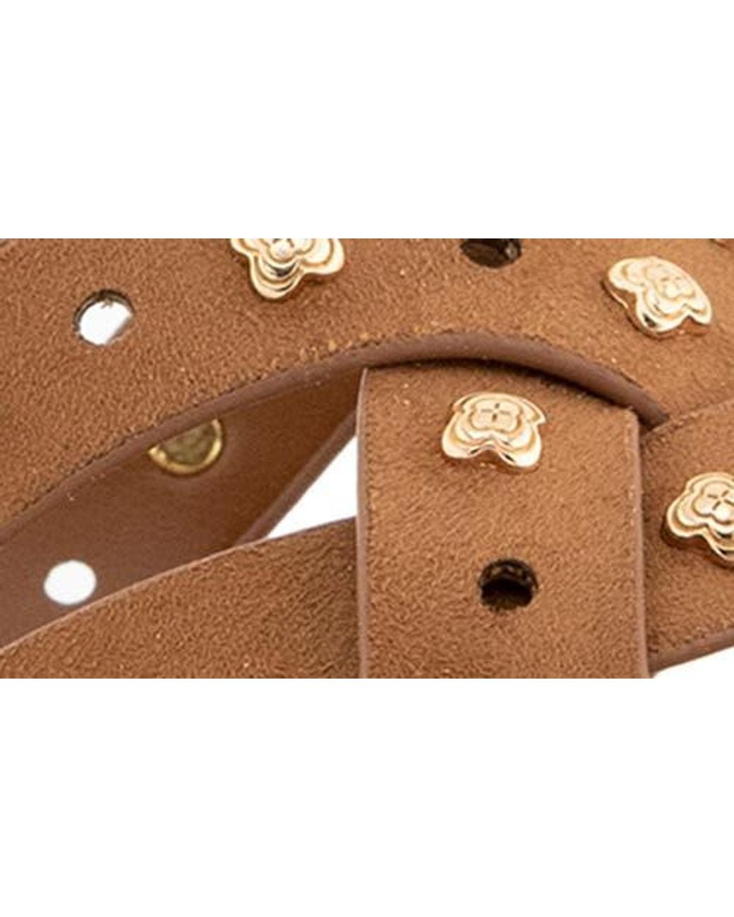 Splendid Brown Simon Studded Slide Sandal