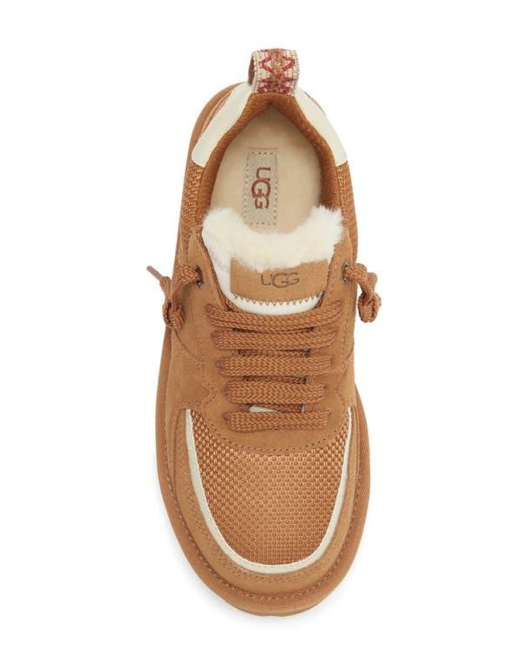 Ugg Brown Sungazer Sneaker