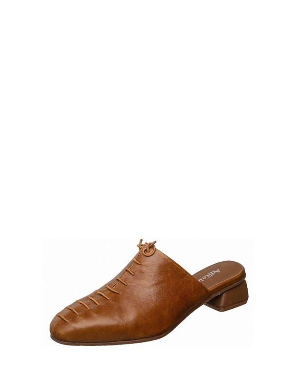 Antelope Brown Natalie Mule