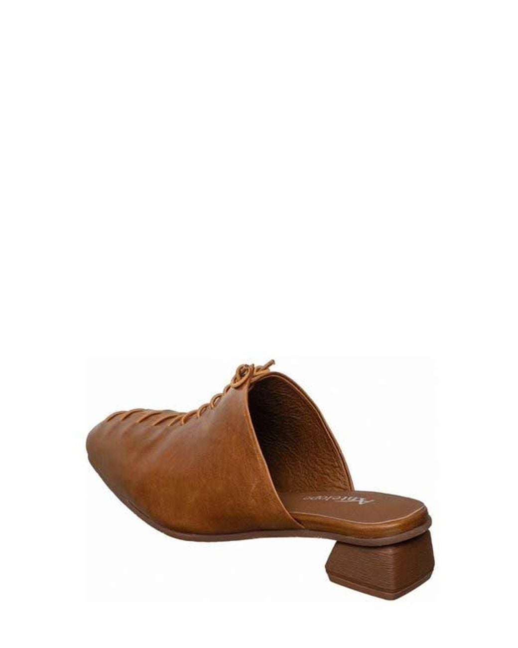 Antelope Brown Natalie Mule