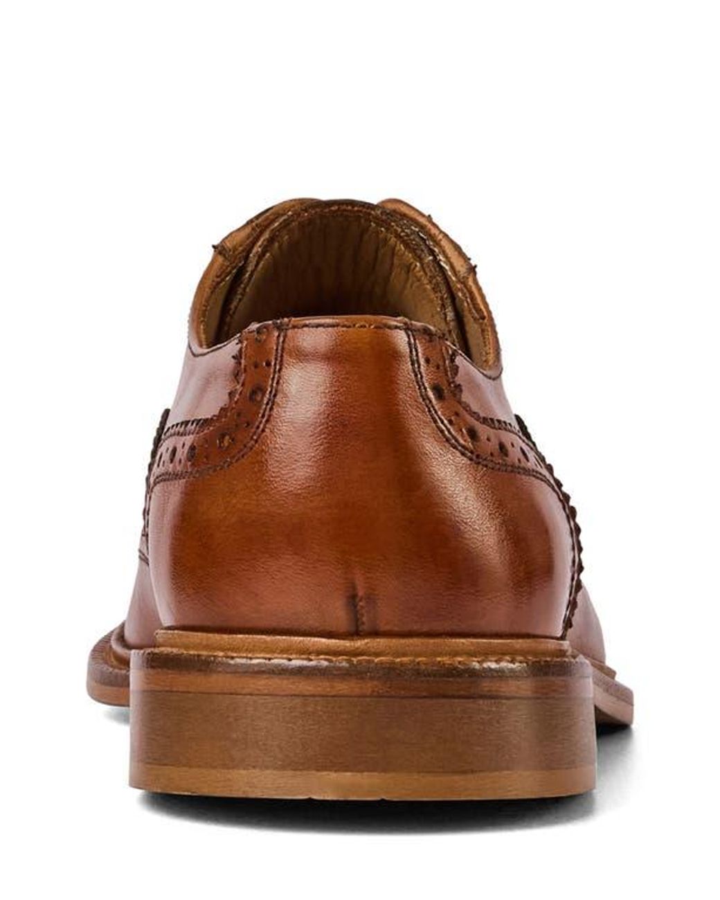 Bruno Magli Alfonso Wingtip Oxford in Brown for Men | Lyst display picture 1